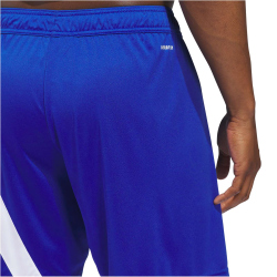 adidas Fortore 23 Shorts Herren IK5756 - team royal...