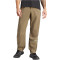 adidas TERREX Multi Woven Wanderhose Herren AETE - olistr 50 (M)