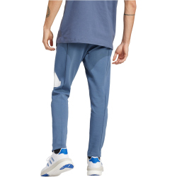 adidas Future Icons BOS Jogginghose Herren AF4L - prloin M
