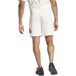 adidas Future Icons BOS Freizeitshorts Herren 08S1 - owhite XL