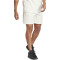 adidas Future Icons BOS Freizeitshorts Herren 08S1 - owhite XL