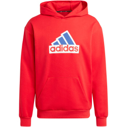 adidas Future Icons BOS Hoodie Herren AETG - betsca S