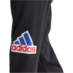 adidas Future Icons BOS Jogginghose Herren 095A - black L