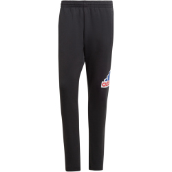 adidas Future Icons BOS Jogginghose Herren 095A - black XXL