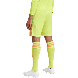 adidas Tiro24 Trainingsshorts Herren A7CS - sesoye/seimor S