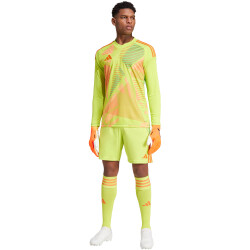 adidas Tiro24 Trainingsshorts Herren A7CS - sesoye/seimor S