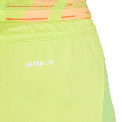 adidas Tiro24 Trainingsshorts Herren A7CS - sesoye/seimor S