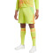 adidas Tiro24 Trainingsshorts Herren A7CS - sesoye/seimor S