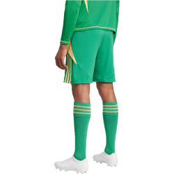 adidas Tiro24 Trainingsshorts Herren ADCZ - teagrn/semspa XS