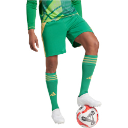 adidas Tiro24 Trainingsshorts Herren ADCZ - teagrn/semspa S