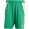 adidas Tiro24 Trainingsshorts Herren ADCZ - teagrn/semspa S