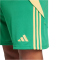 adidas Tiro24 Trainingsshorts Herren ADCZ - teagrn/semspa S