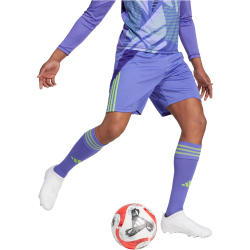 adidas Tiro24 Trainingsshorts Herren A0TG - purple/teassg XS