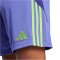 adidas Tiro24 Trainingsshorts Herren A0TG - purple/teassg S