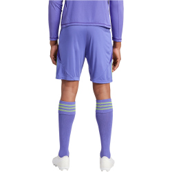 adidas Tiro24 Trainingsshorts Herren A0TG - purple/teassg M