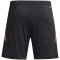adidas Tiro24 Trainingsshorts Herren 095A - black/sesoye S