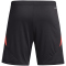 adidas Tiro24 Trainingsshorts Herren 095A - black/sesoye XXL