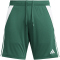 adidas Tiro24 Trainingsshorts Herren AD8T - drkgrn/white XS