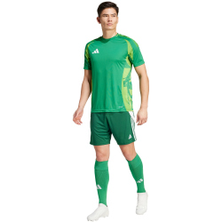 adidas Tiro 24 Trainingsshorts Herren IS1410 - team dark green/white S