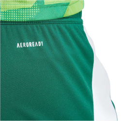 adidas Tiro 24 Trainingsshorts Herren IS1410 - team dark green/white S