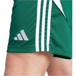 adidas Tiro 24 Trainingsshorts Herren IS1410 - team dark green/white S
