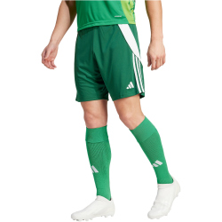 adidas Tiro 24 Trainingsshorts Herren IS1410 - team dark green/white S