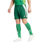 adidas Tiro 24 Trainingsshorts Herren IS1410 - team dark green/white S