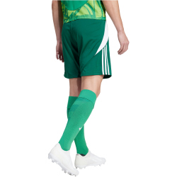 adidas Tiro 24 Trainingsshorts Herren IS1410 - team dark green/white 3XL