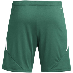 adidas Tiro24 Trainingsshorts Herren AD8T - drkgrn/white 3XL
