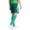 adidas Tiro 24 Trainingsshorts Herren IS1410 - team dark green/white 3XL