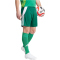 adidas Tiro 24 Trainingsshorts Herren IS1410 - team dark green/white 3XL