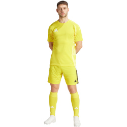adidas Tiro 24 Trainingsshorts Herren IS1409 - team...
