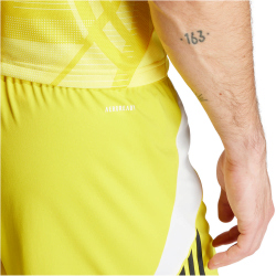 adidas Tiro 24 Trainingsshorts Herren IS1409 - team...