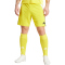 adidas Tiro 24 Trainingsshorts Herren IS1409 - team yellow/black XS
