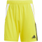 adidas Tiro24 Trainingsshorts Herren ADF7 - tmyell/black S