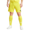 adidas Tiro 24 Trainingsshorts Herren IS1409 - team yellow/black 3XL