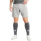 adidas Tiro 24 Trainingsshorts Herren IS1408 - team mid grey/white 3XL