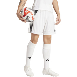adidas Tiro 24 Trainingsshorts Herren IR9380 -...