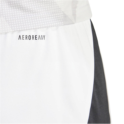 adidas Tiro 24 Trainingsshorts Herren IR9380 -...
