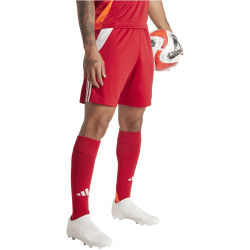 adidas Tiro 24 Trainingsshorts Herren IR9379 - team power...