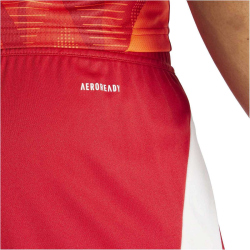 adidas Tiro 24 Trainingsshorts Herren IR9379 - team power...