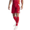 adidas Tiro 24 Trainingsshorts Herren IR9379 - team power red 2/white XS