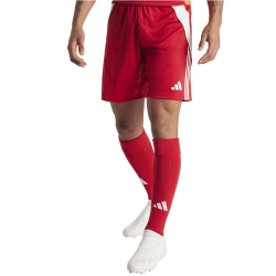 adidas Tiro24 Trainingsshorts Herren AEPU - tepore/white S