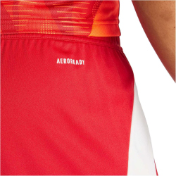 adidas Tiro 24 Trainingsshorts Herren IR9379 - team power red 2/white 3XL