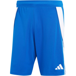 adidas Tiro 24 Trainingsshorts Herren IR9378 - team royal...