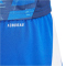 adidas Tiro 24 Trainingsshorts Herren IR9378 - team royal blue/white XS
