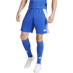 adidas Tiro 24 Trainingsshorts Herren IR9378 - team royal...