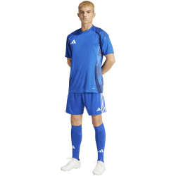 adidas Tiro 24 Trainingsshorts Herren IR9378 - team royal...