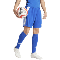 adidas Tiro24 Trainingsshorts Herren AD8R - royblu/white S