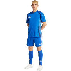 adidas Tiro 24 Trainingsshorts Herren IR9378 - team royal blue/white 3XL